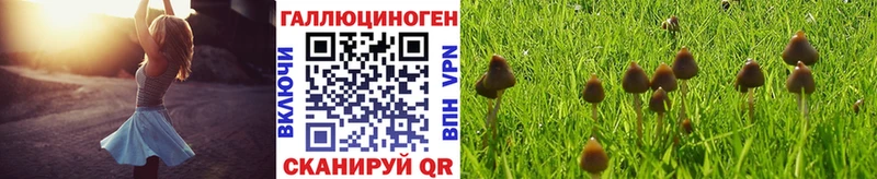 Галлюциногенные грибы прущие грибы  Няндома 